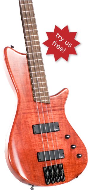 guitar2